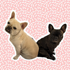 フレブル飼ってよかった　いちこアイコン画像