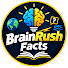 Pb74r34ihoA-channel-avatar-BrainRush Facts