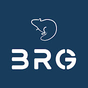 Beaver Rush Gaming