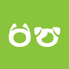 Інтернет-магазин «Zootovary.com»