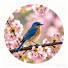 oS33DQwzHDY-channel-avatar-阿蘭講故事