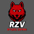 Ch79pSN9fYc-channel-avatar-RZV
