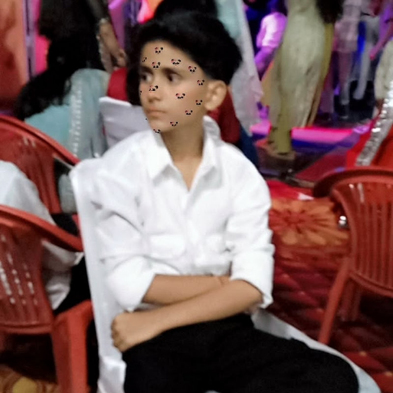 Hire Animals lover — Pets & Animals YouTube creator for sponsorships