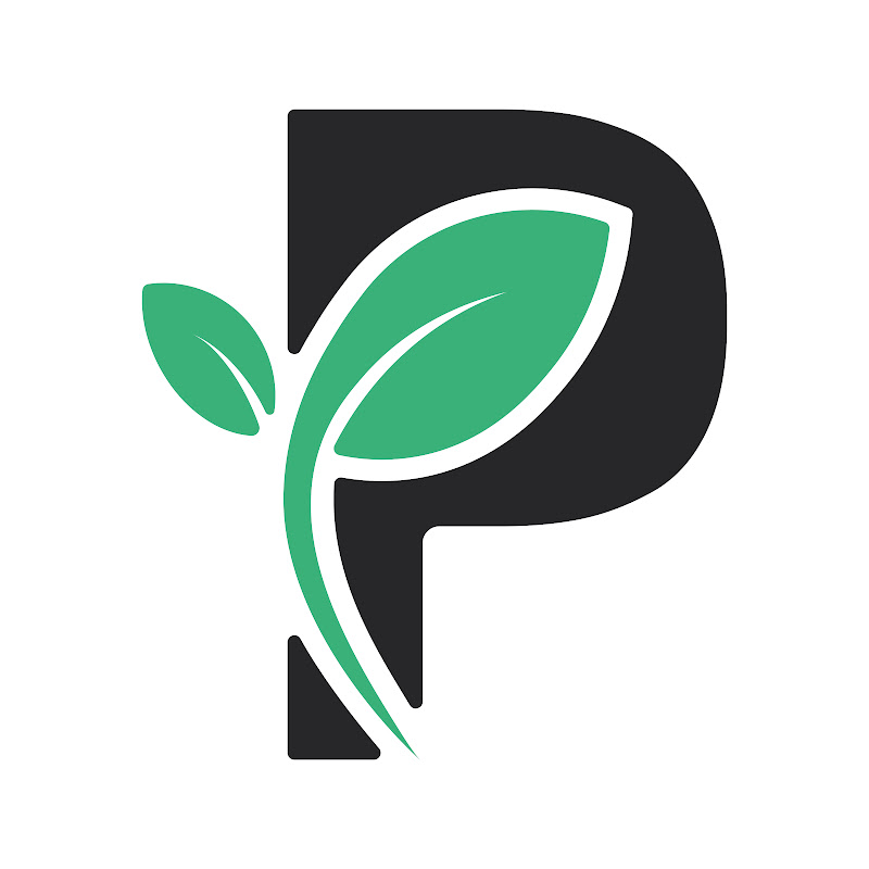 Passiv