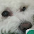 @모모.보리