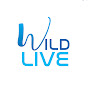 WildLive Media - Connecting with Nature logo