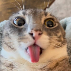 KatieIsBusyInSchool😔