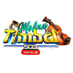 Molina timbal 503
