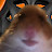 hamsterlover gaming
