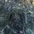 ieCcRhJ4X2c-channel-avatar-01 The Real Grump