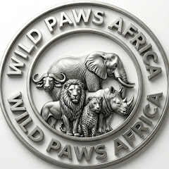 Wild Paws Africa