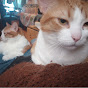 Ginger and Tauriel Meow Through Life logo