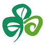 Discover Ireland logo