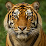 Lnh2PpqWO7Q-channel-avatar-Explora Animales