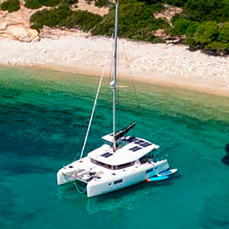 Sailing Bluefish