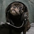 Ki5EoUsysGs-channel-avatar-RARE PLAY GAMING
