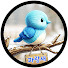zPL-LLJ8h-A-channel-avatar-파랑새야담