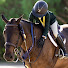 2Lj1ouzVsS0-channel-avatar-💗𝕃𝕚𝕒𝕟𝕒_𝕖𝕢🐴