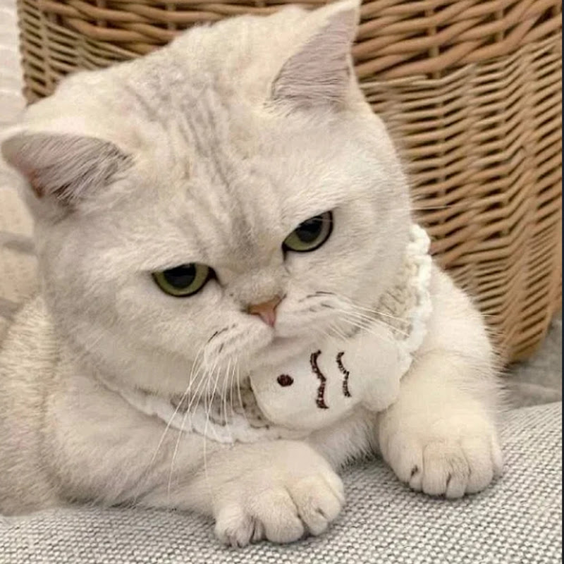 Pet_babylover1223