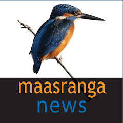 Maasranga News