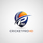 Hire Cricket Gaming Zone — Sports Games (FIFA, NBA 2K, etc.) YouTube creator for sponsorships