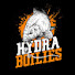 saj1LIU6f8c-channel-avatar-HYDRA BOILIES