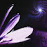 ZJi0G53NK8Y-channel-avatar-EldritchUnicorn