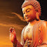 GOLzwfJsq_M-channel-avatar-Phật Ở Trong Tâm 🪷