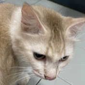 kangmaru
