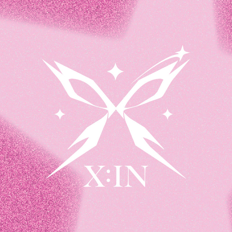 X:IN