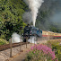 g4ltTmGR4zY-channel-avatar-Steam to the West - Trecanrail