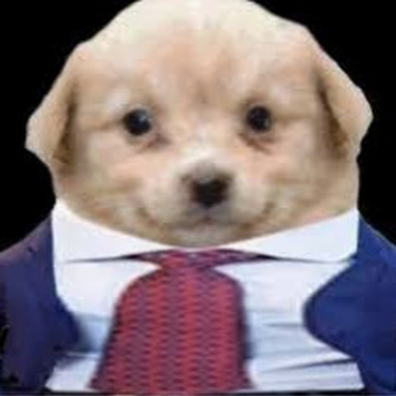 pachidev