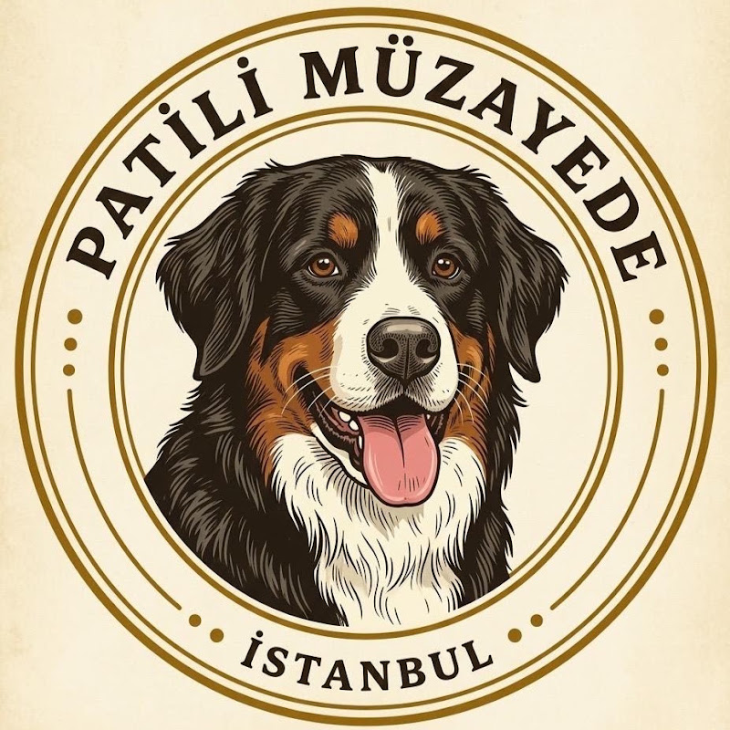 Patili Müzayede