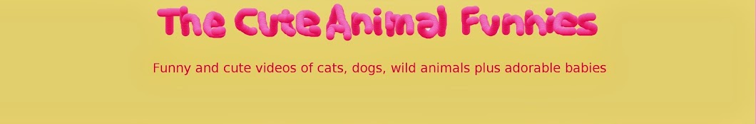 The Cute Animal Funnies Awatar kanału YouTube
