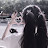 @EleenMohamed-g3u