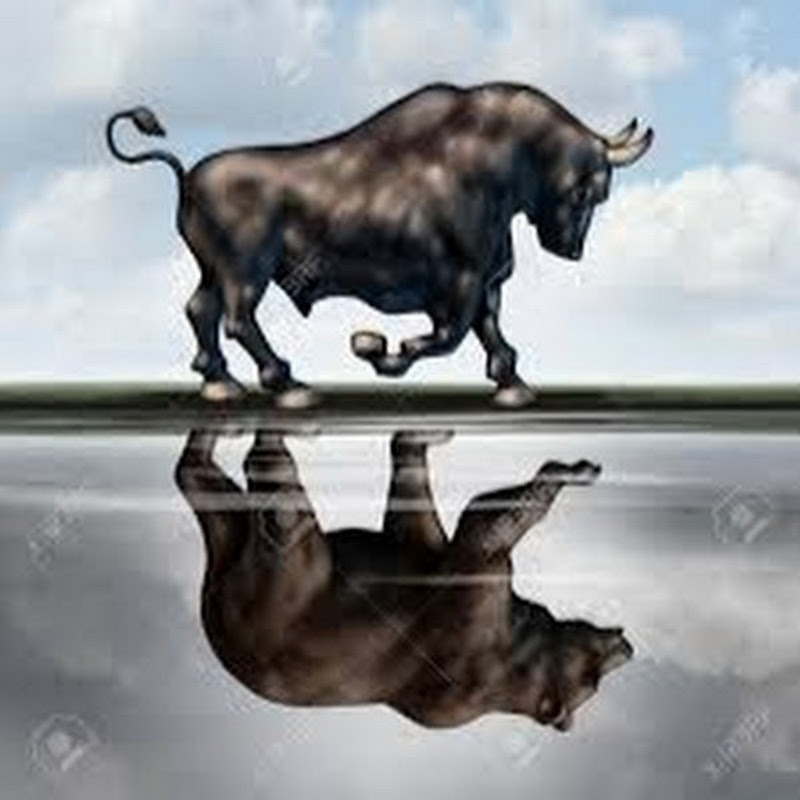 Apis Bull Trading