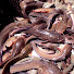 40-2_VLTfiE-channel-avatar-Catch Fish