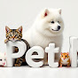 Pet It Now