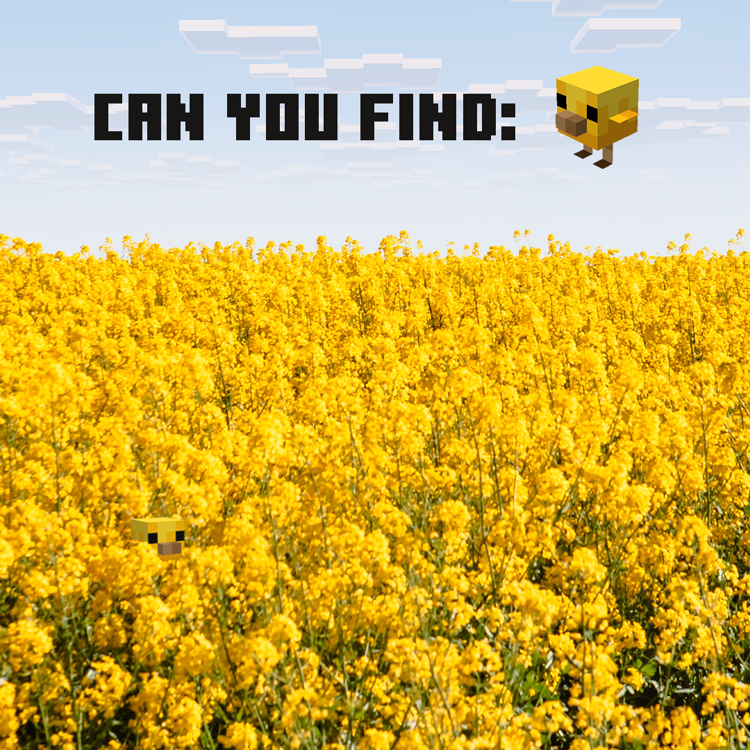 Post from Minecraft