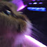 BtMQhcF4F_Y-channel-avatar-TIX