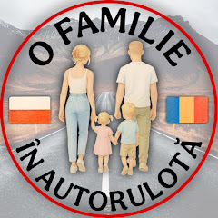 Gigi Cristea net worth