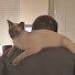 izufcMYgIvo-channel-avatar-louis_66
