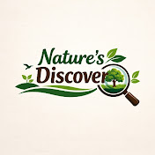 Nature's Discovery