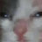 Avatar de @yungthugleftnut1702