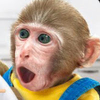 Profile Picture of Majomka ninja 1200