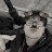 @l..izan..l6571's avatar