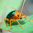 YSKyyZho1LE-channel-avatar-B Love Nature