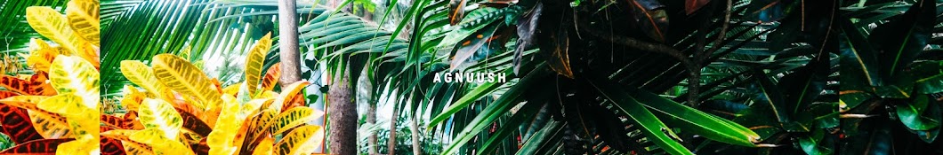 AGNUUSH YouTube channel avatar