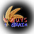 c6PxFuSvTWE-channel-avatar-3Guys1Grain