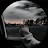 @rokayaelkady4188